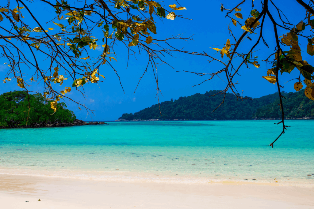 Surin et Similan Thaïlande